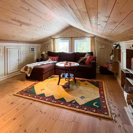 Stunning In With House A Mountain View Feriehus Sjusjoen